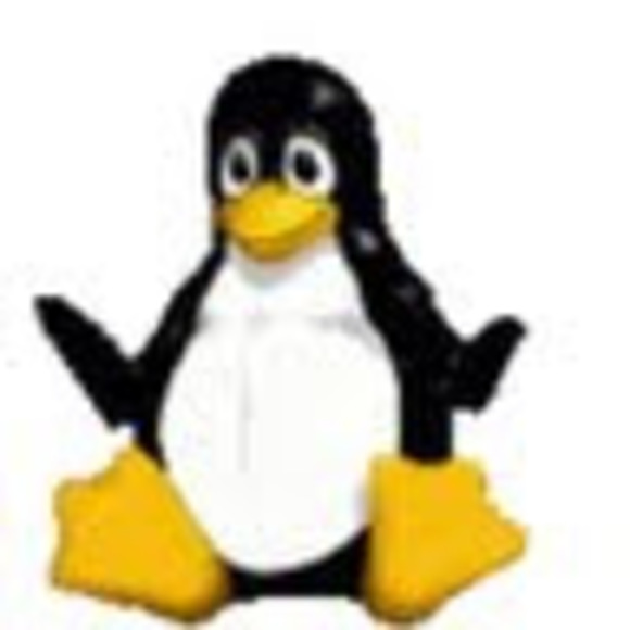 Meet your Posher, Darrell - Picture 1 of 1